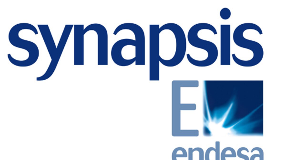 Synapsis Endesa